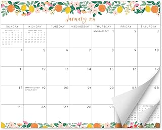 S&O Fruity Magnetic Fridge Calendar from January 2026-June 2027 - Tear-Off Refrigerator Calendar to Track Events & Appointments - 18 Month Magnetic Planner for Fridge for Easy Planning - 8"x10" in.