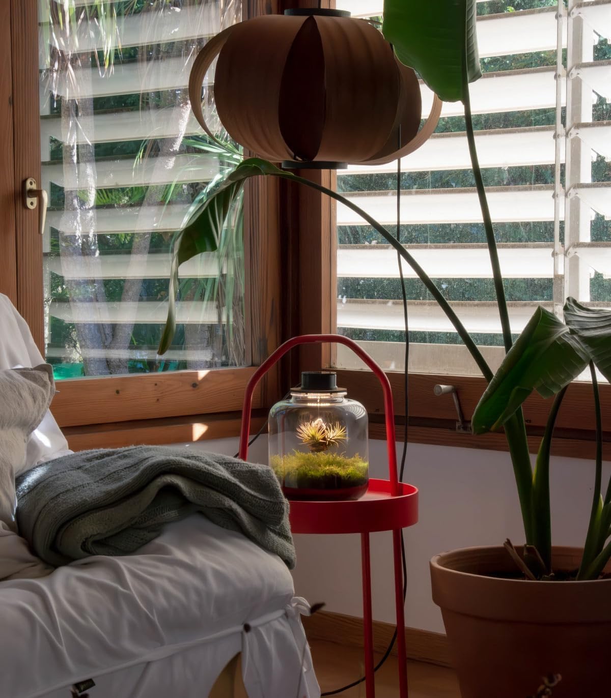 Jardin en Botella Terrario Plantas Vidrio Transparente Tapa con Foco LED | Kit Jardin en Botella Todo Incluido Plantas de Aire Naturales en Raiz de Olivo