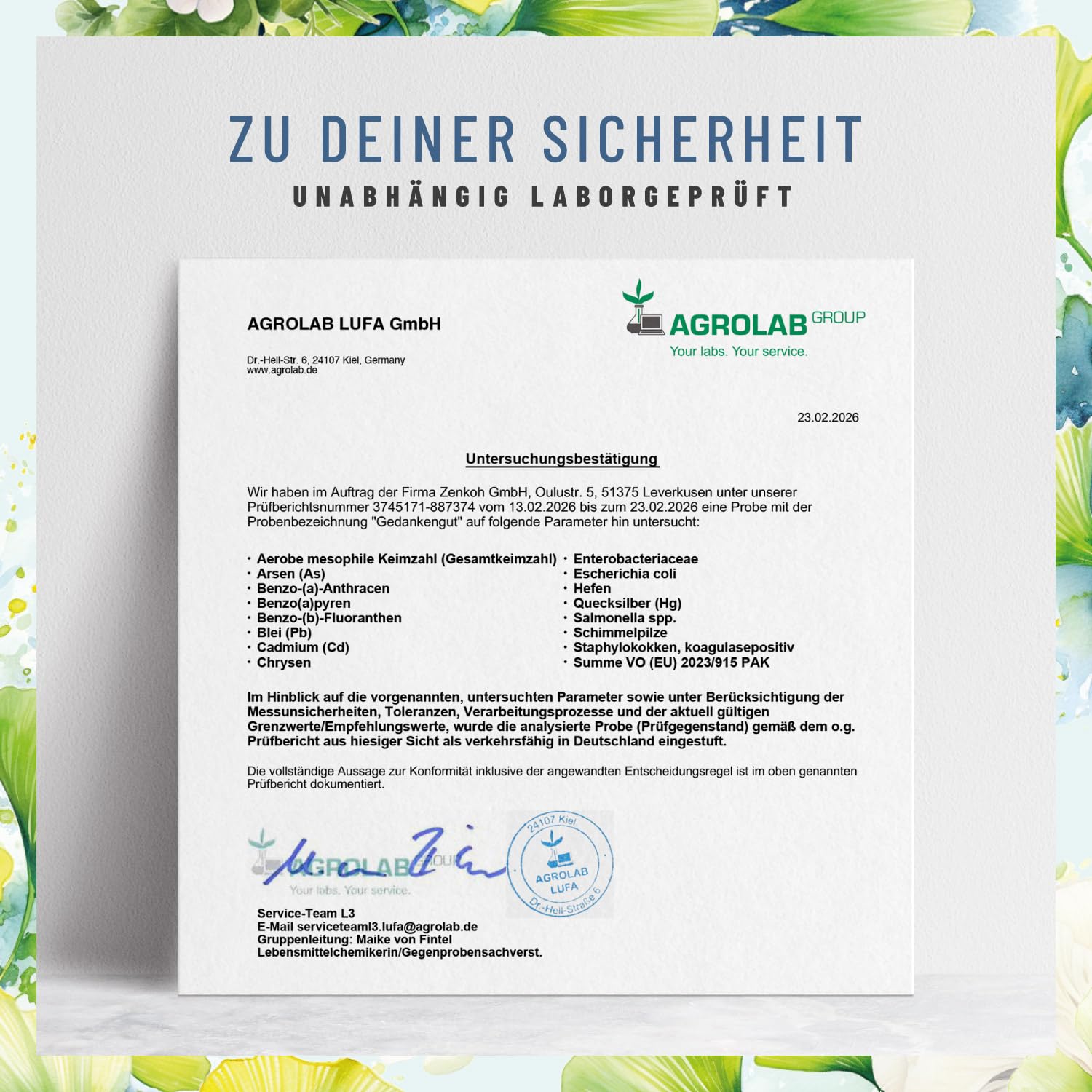NATURTREU® Ginkgo-Biloba 50:1 & Löwenmähne Pilz Komplex - mit Brahmi-Extrakt Cholin & L-Cystein – 120 Kapseln vegan und hochdosiert mit 30% Polysaccharide und 5% Beta-Glucane