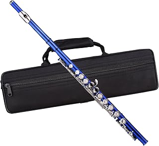 Closed Hole C Flute 16 Keys Wind Instrument With Carry Case Flute Stand flute instrument