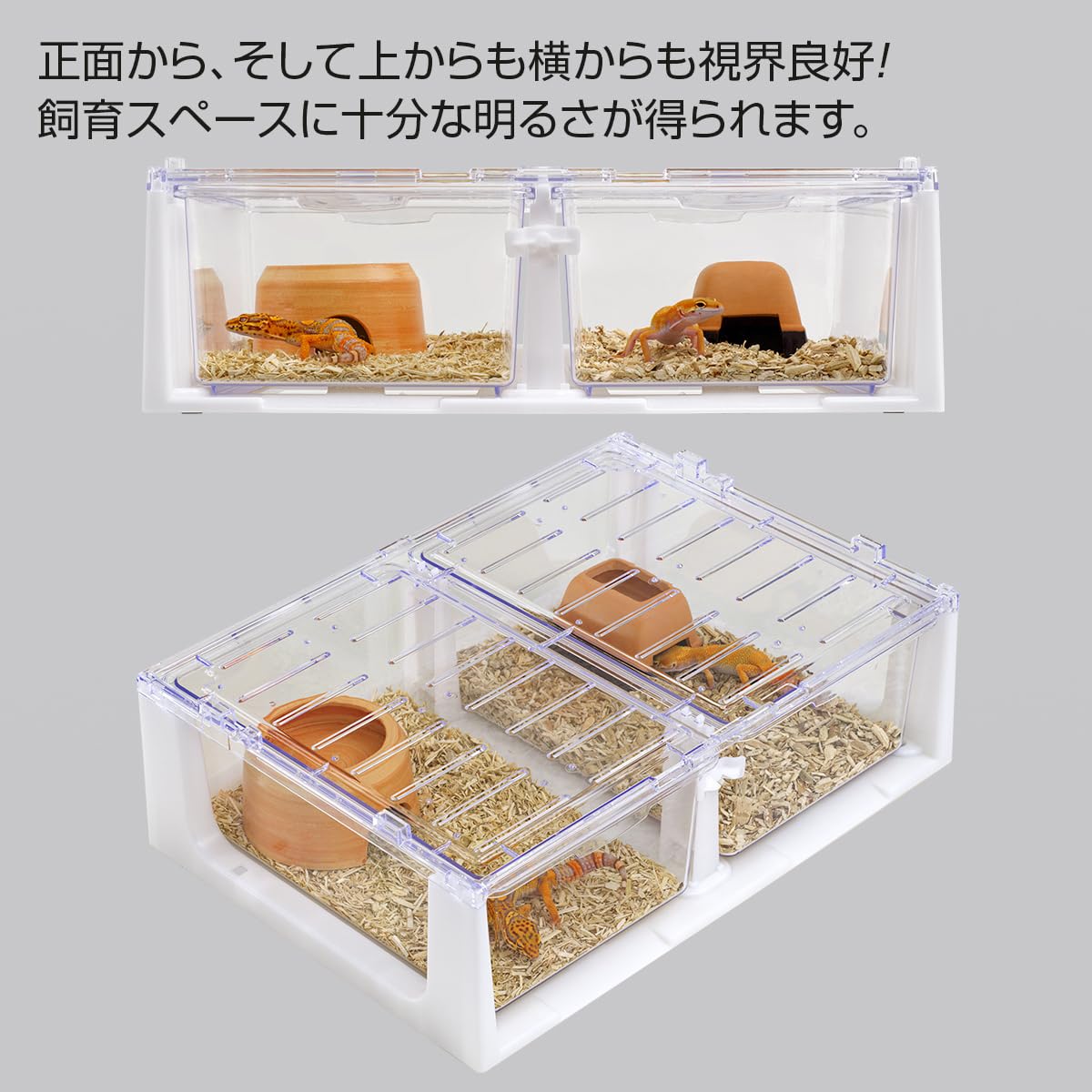 Amazon | スドー 4個セット 箱なし ハープチェスト W300 爬虫類 ケージ