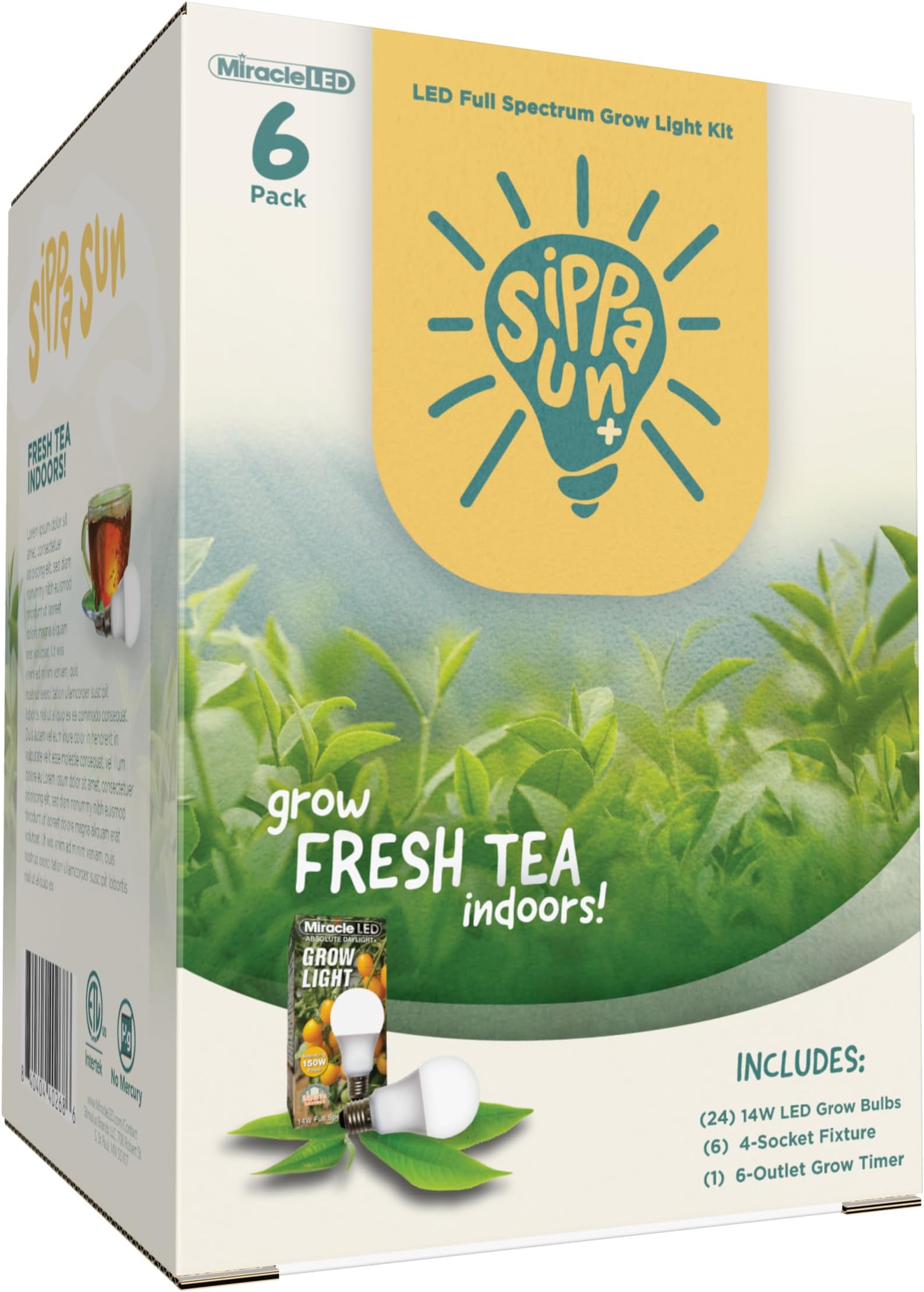 Sippa Sun Indoor Tea Grow Light Kit – Home Grown Green, Black, Oolong Tea – Absolute Daylight Plus Full Spectrum Replace 150W Grow Bulbs & 4-Socket Corded Fixture with Timer (6-Pack)