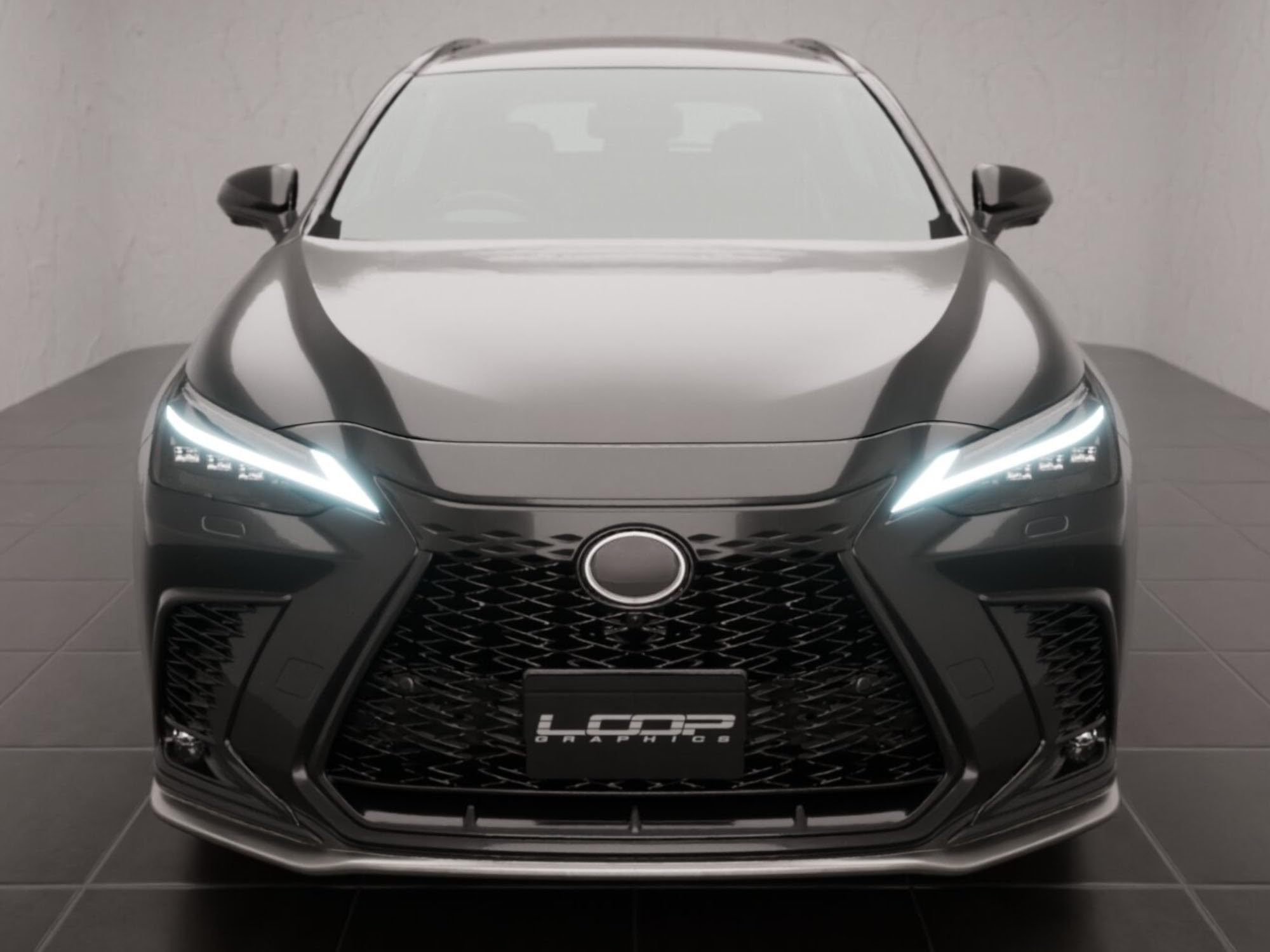 Amazon.co.jp: アレックスグリル LEXUS互換品 NX FSPORT 20系用 NEW RX 