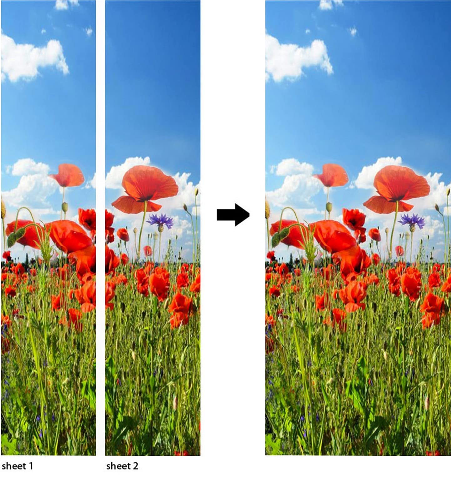 Adesivo Murale Campo Papaveri Al Tramonto - PVC Autoadesivo 77x200cm, Per Porte E Pareti - Foto 4