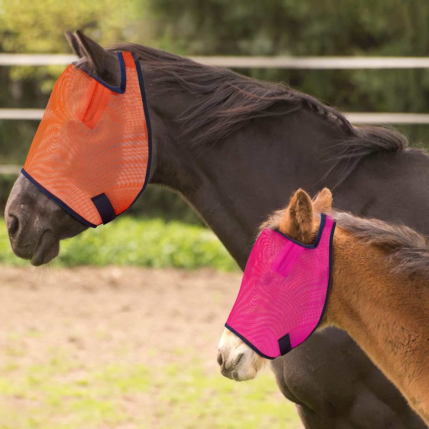 2 Pieces Horse Mask Protective Equine Mask Adjustable Comfort Horse Masks, L, Orange, Pink : Pet Supplies