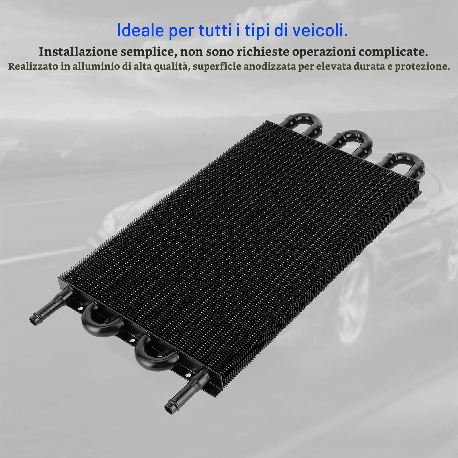 Radiatore olio motore, trasmissione a 6 file Kit radiatore olio motore Radiatore raffreddamento remoto universale in alluminio