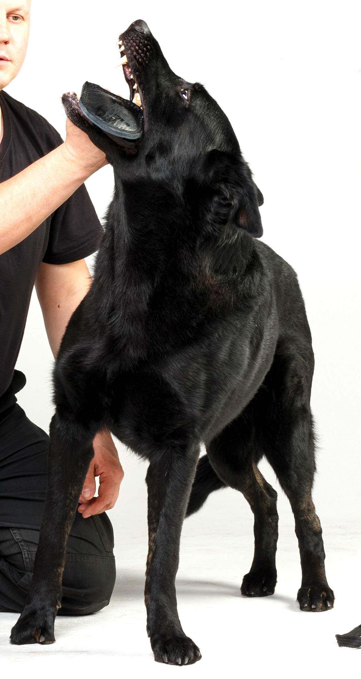 Dingo Gear S00229 - Giocattolo in Vera Pelle, Fatto a Mano, per addestramento e Gioco del Cane, Colore: Nero