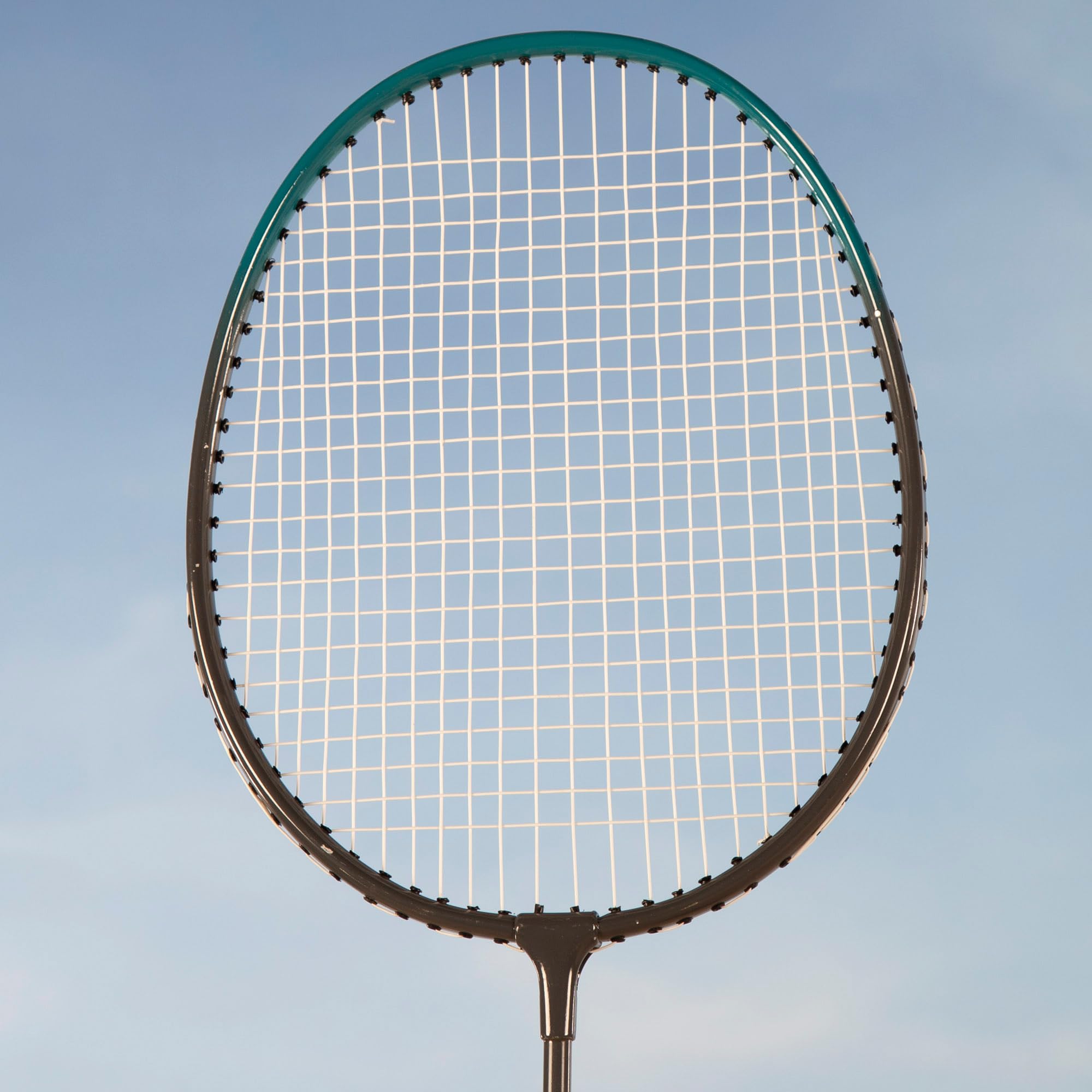 Red Bádminton Portátil 295x160 cm Azul Negro 2 Raquetas 2 Volantes Patas Extensibles Maletín Transporte