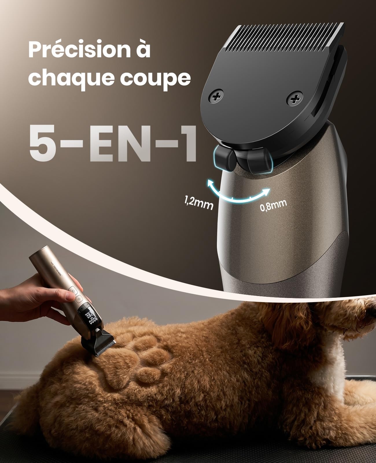 oneisall Tondeuse Chien Professionnelle | 9000 RPM 5 vitesses,DLC lame 5-en-1 , autonomie de 280 min,<50 dB silencieux, 8 peignes guides métalliques