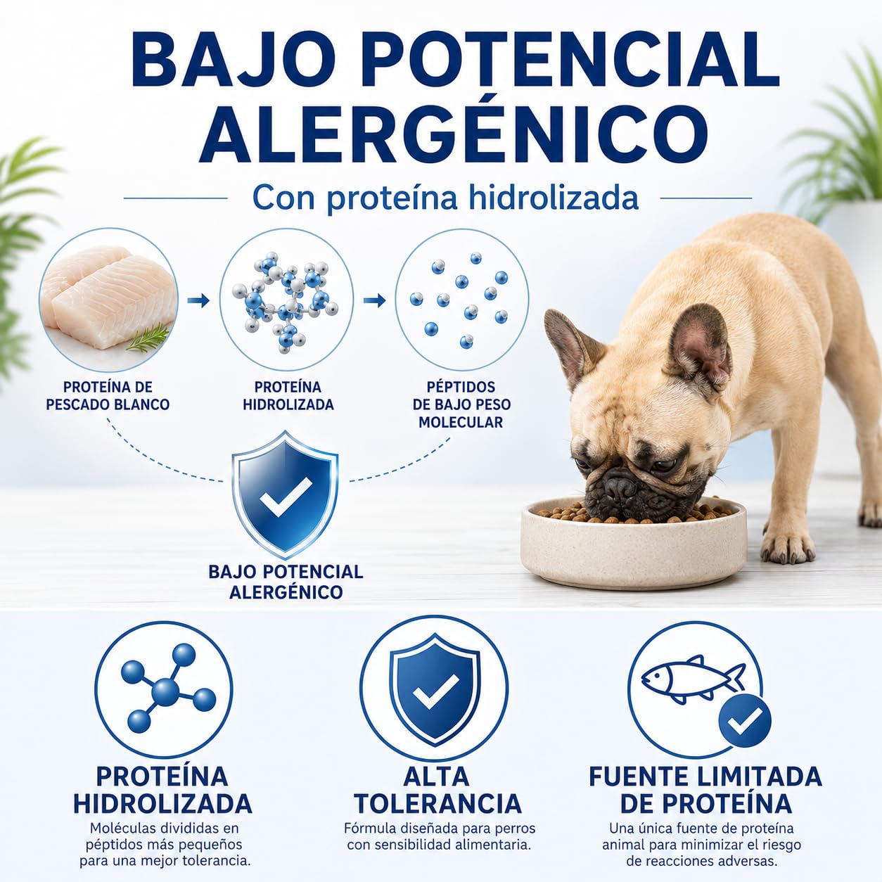 Pienso Hipoalergénico para Perros Hidrolizado de Pescado Blanco Sin Cereales Grain Free Alta Digestibilidad y Cuidado de la Piel atopica Todas Las Razas y tamaños - 10 kg - PURO INSTINTO Salud