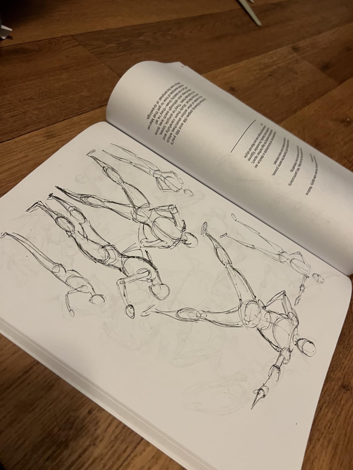 The BEST for step by step drawing