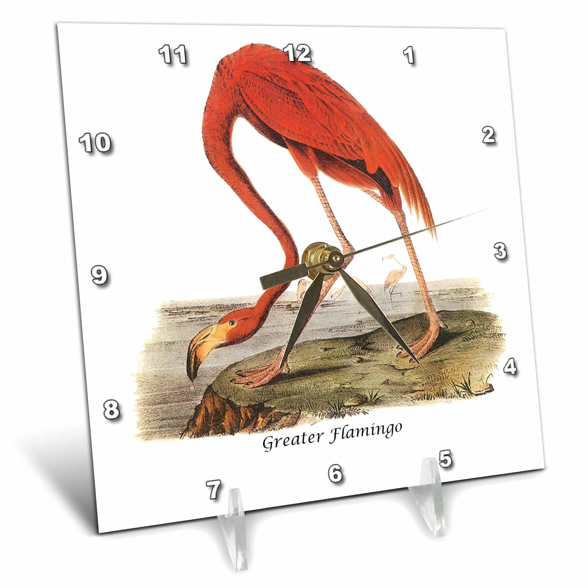 3dRose dc_114101_1 Greater Flamingo by John James Audubon-Desk Clock, 6 by 6-Inch