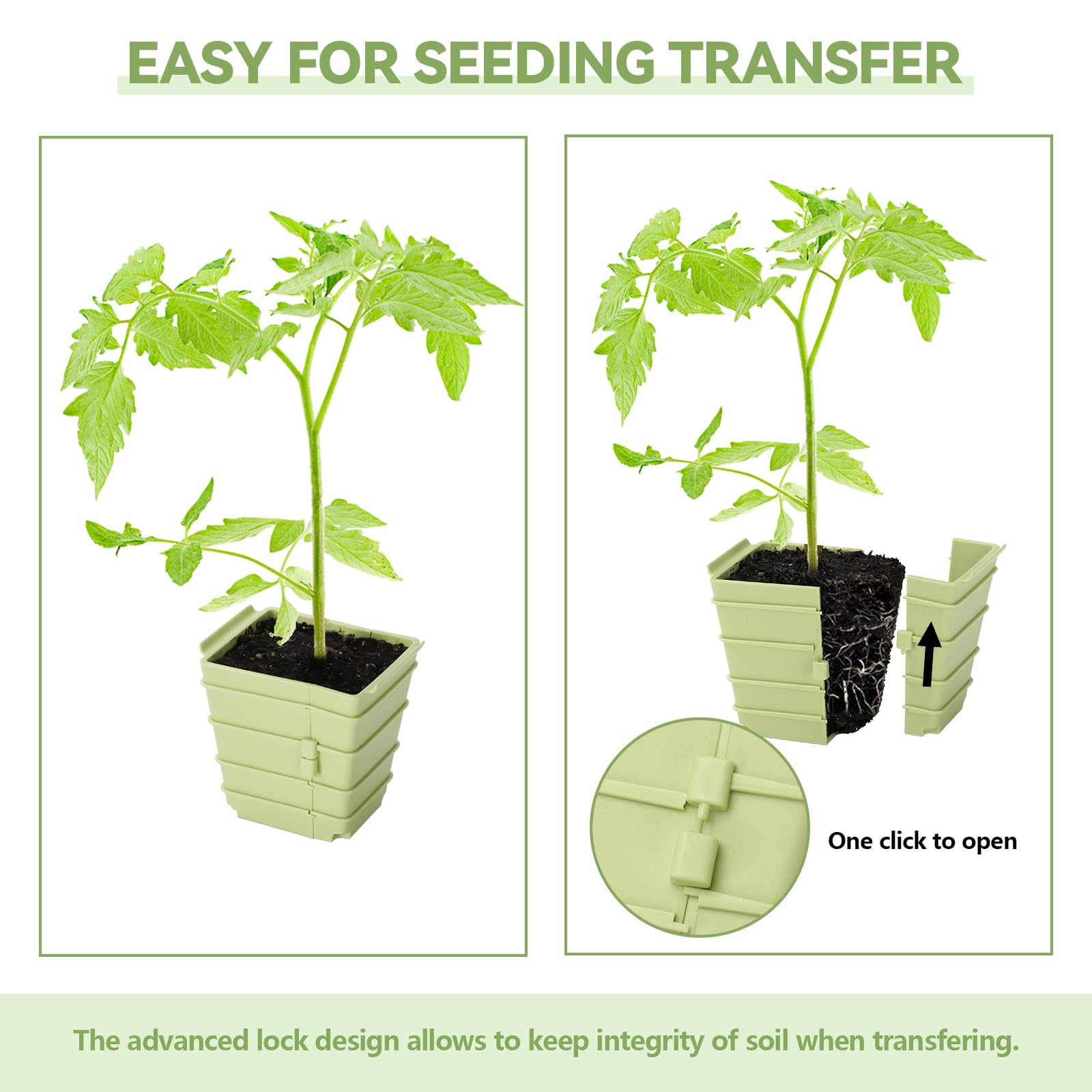 Green Bazzar - Bandeja de inicio de semillas de 8 unidades, bandejas reutilizables para germinación de plantas con 24 células individuales, ideal para germinar semillas en interiores y