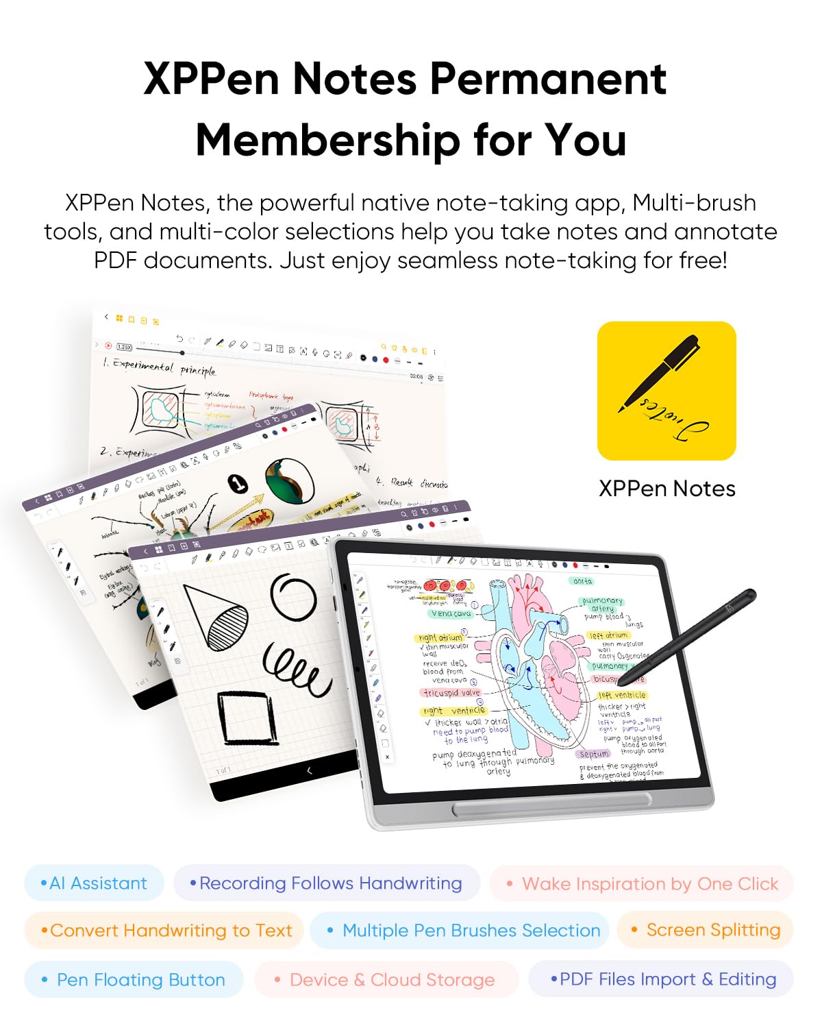 Screenshots of the XPPen Notes app interface showing various note-taking and annotation features, including AI Assistant, recording, and screen splitting.