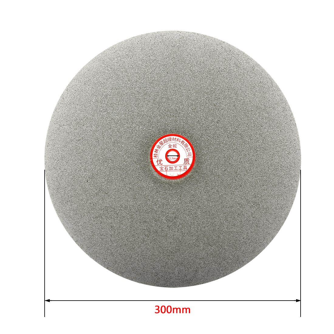 Aexit 300mm 12-inch Abrasive Wheels & Discs Grit 100 Diamond Coated Flat Lap Disk Wheel Grinding Surface Grinding Wheels Sanding Disc