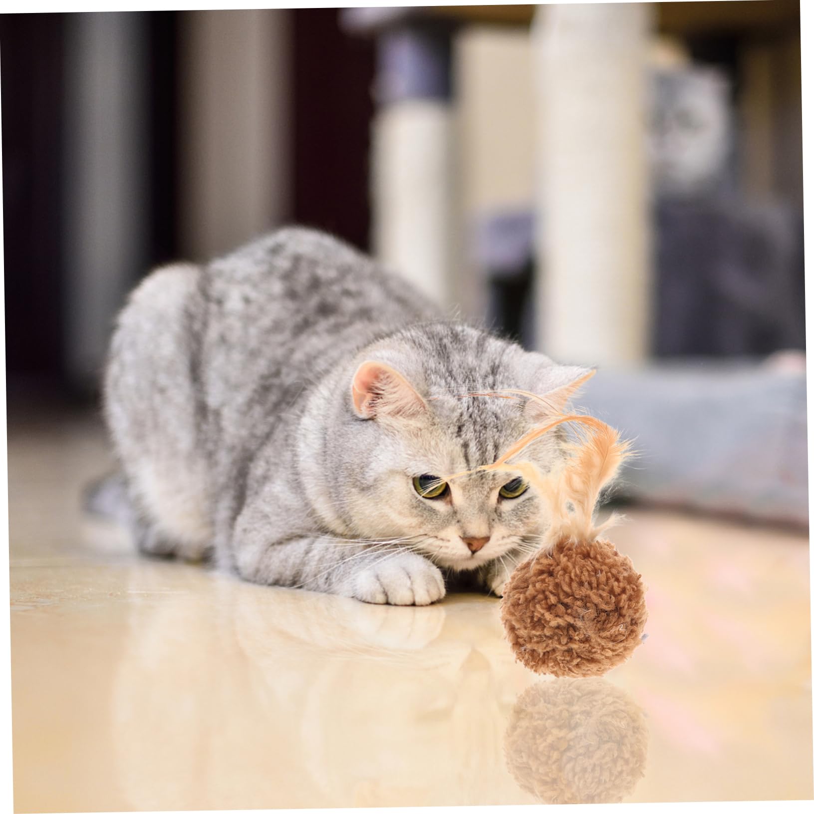 DOITOOL 45piezas Juguete Interactivo para Gatos De De y Sonajero Estimulación y Diversión para Mascotas para Jugar Interiores y Exteriores