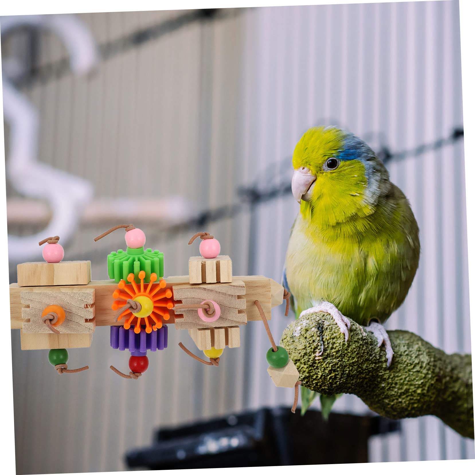 Hohopeti Vogelspielzeug für Papageien, Kausicheres Spielzeug | Kleine und Mittelgroße Vögel, Verschleißfest und Bissresistent, Käfigzubehör