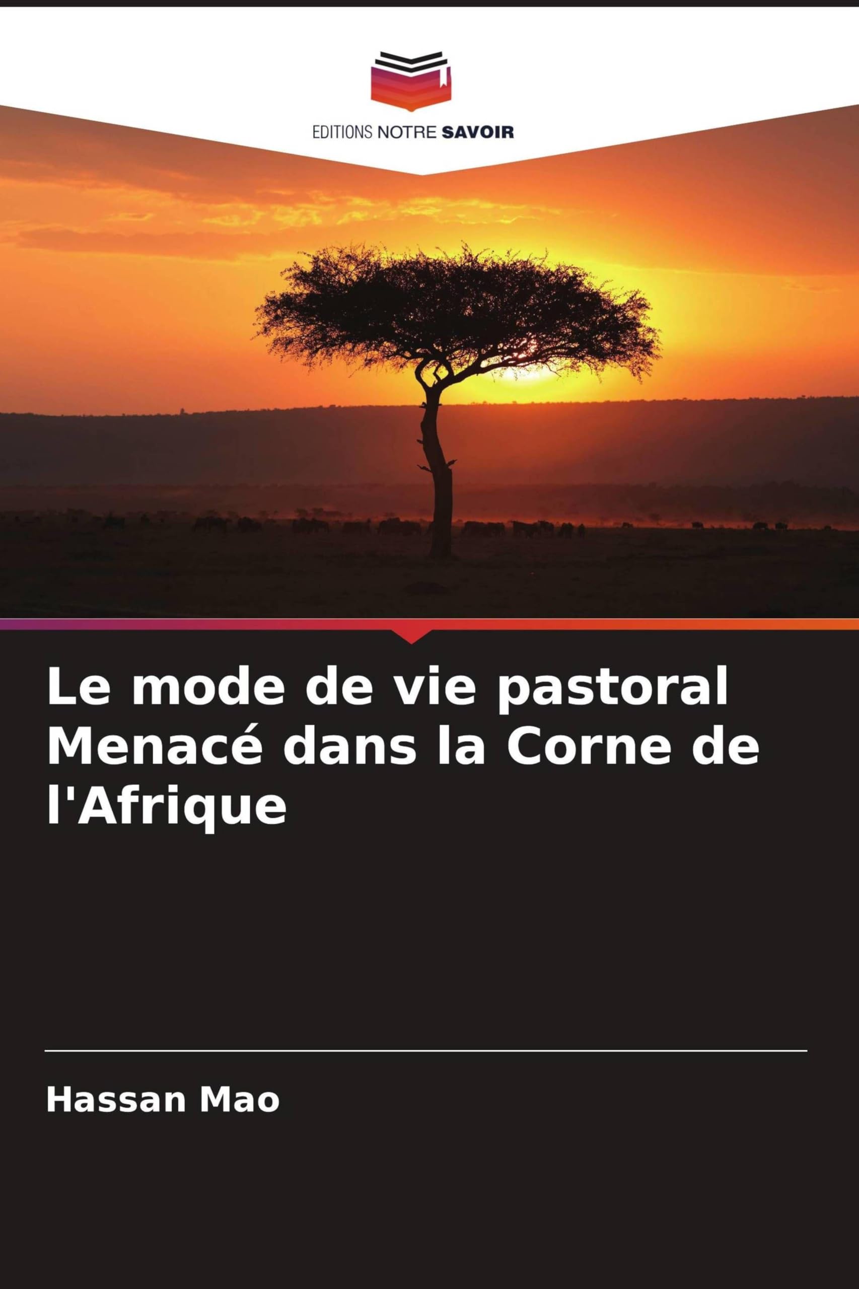 Le mode de vie pastoral Menacé dans la Corne de l'Afrique