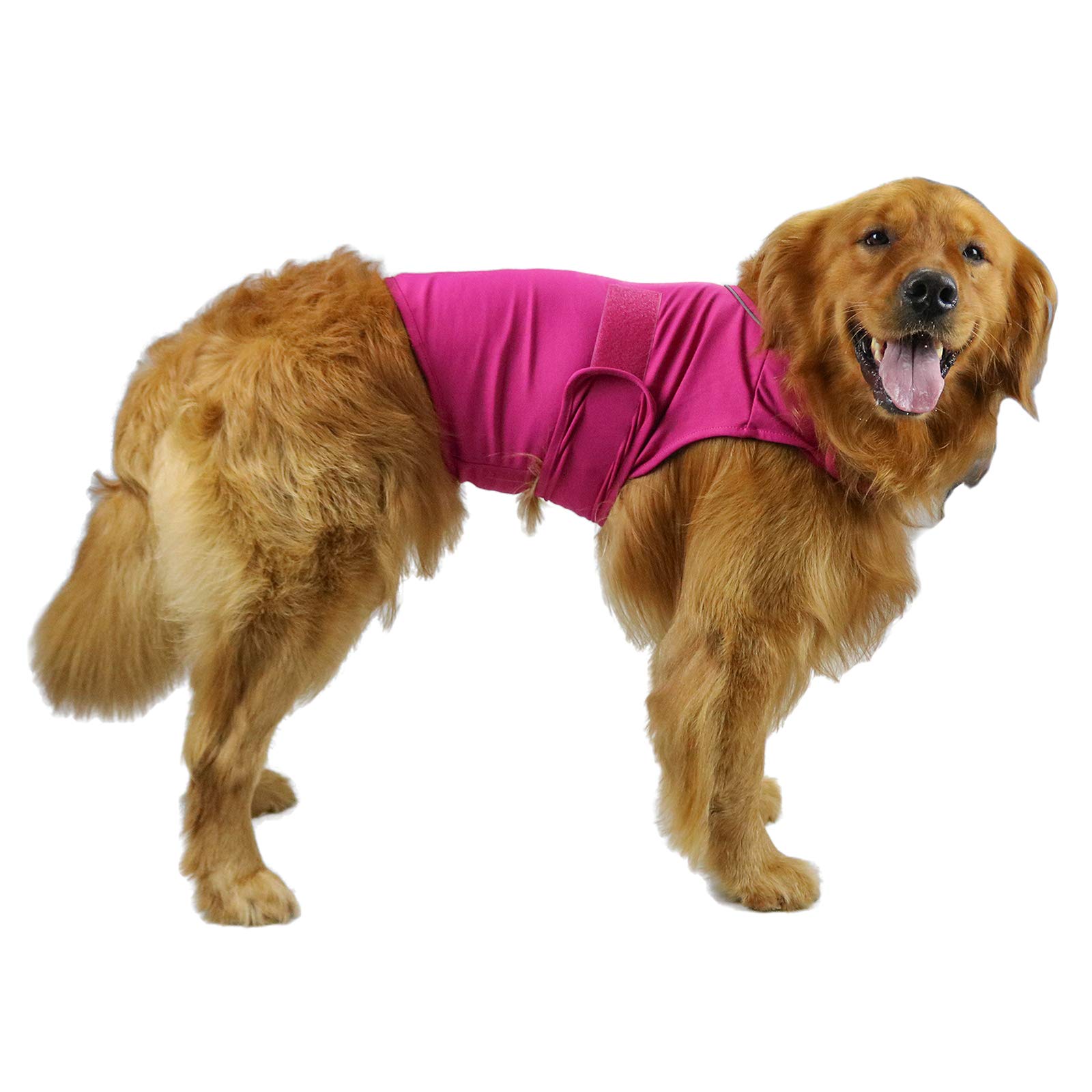 Comfort Dog Anxiety Relief Coat, Dog Anxiety Calming Vest Wrap for Thunderstorm,Travel,4th of July Fireworks,Vet Visits,Separation Anxiety Relief for Dogs (L,Rose)