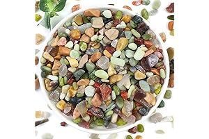 2LB Succulent and Cactus Colorful Small Rocks for Indoor Outdoor Gardening
