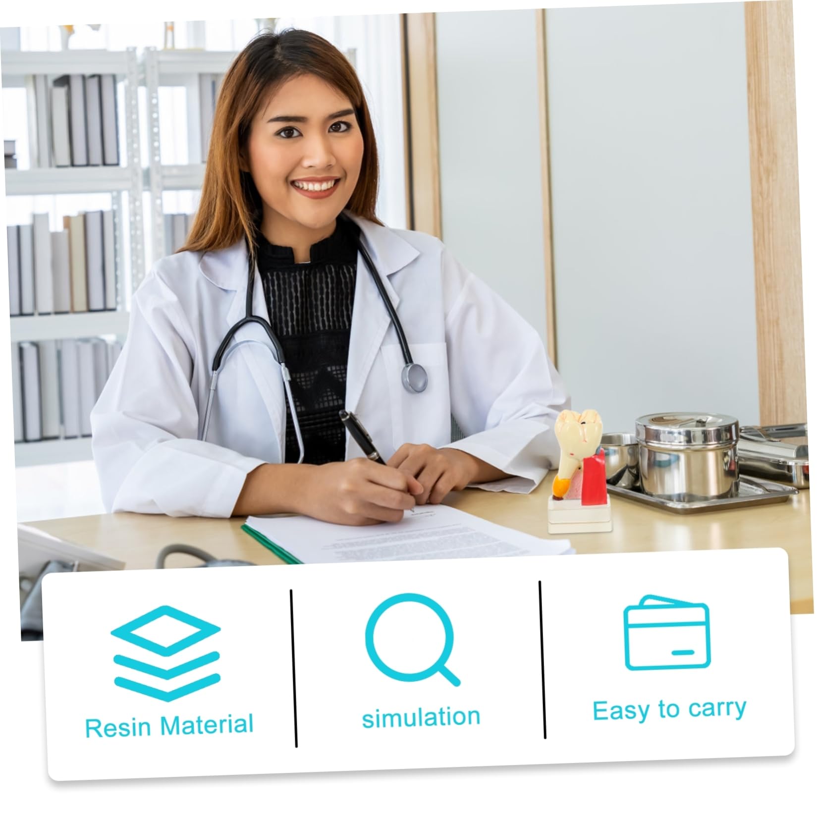 Modello Denti Anatomico Didattico in Resina Beige per Demo | Portatile e Leggero, per Insegnamento Odontoiatrico, Modello Patologico per Studio e Presentazione