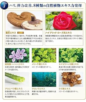Amazon | 日本メディカルシステム アゲインナンバー20 セラム