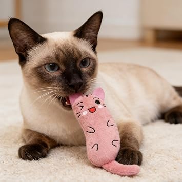 3Pcs Catnip Toys, Interactive Teeth Cleaning Plush Toys, Chewable and Scratch Surface Cats Chew Toy, for Teething, Chewing, Playing, Teeth Cleaning and Exercise(Dark Red, Green, Brown)