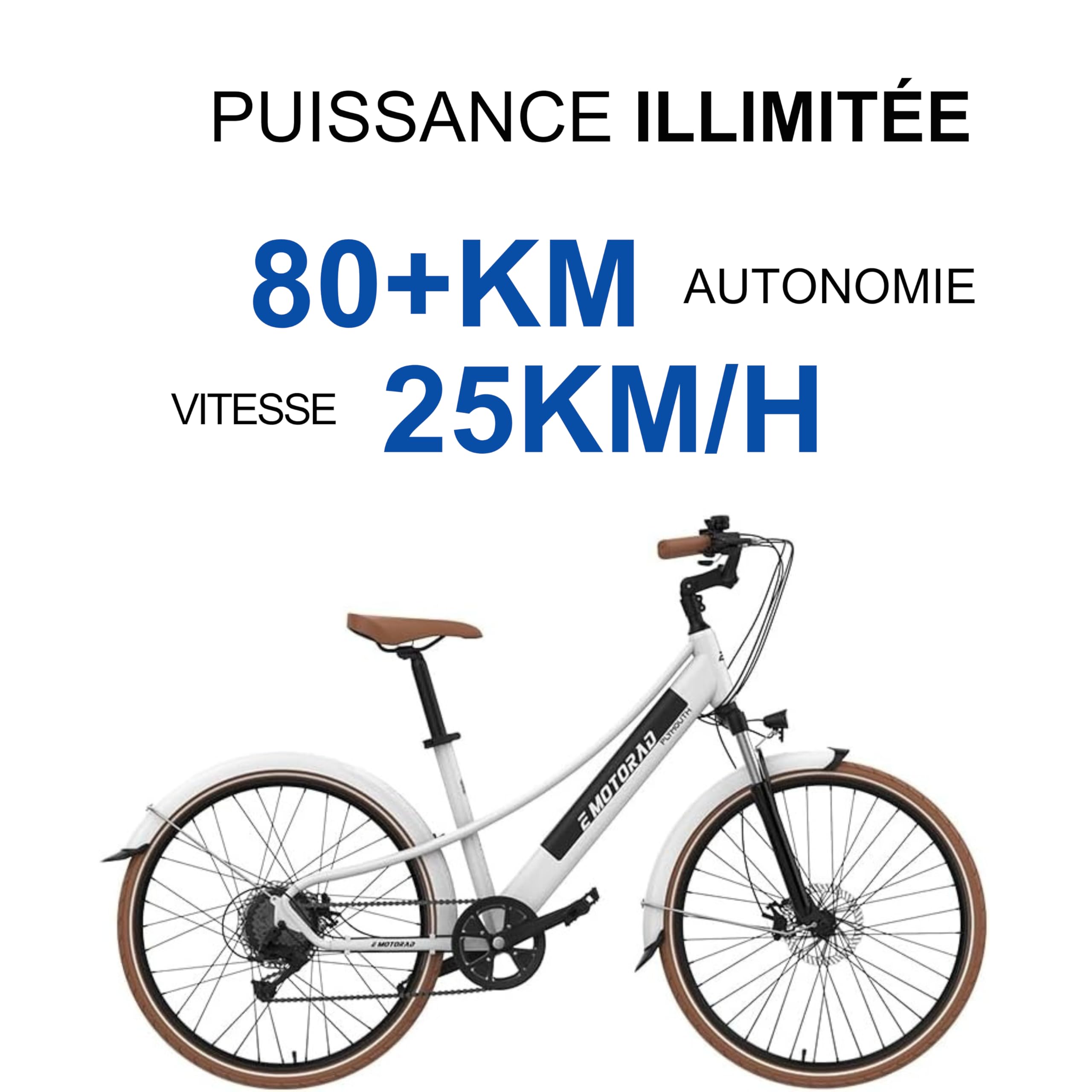 EMotorad Plymouth - Vélo Électrique Urbain pour Adultes - Pneus CST 700x40C - Moteur 36V 250W - Batterie Amovible 420 Wh - Cadre Bas en Aluminium - 5 Niveaux d’Assistance