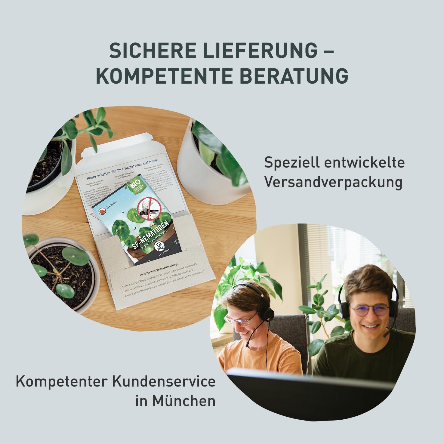 Plantura SF-Nematoden gegen Trauermücken, zum Gießen, hochwirksam & biologisch, Nützlinge aus Deutschland, 50 Mio für 50 m²/ ca. 500 Pflanzen