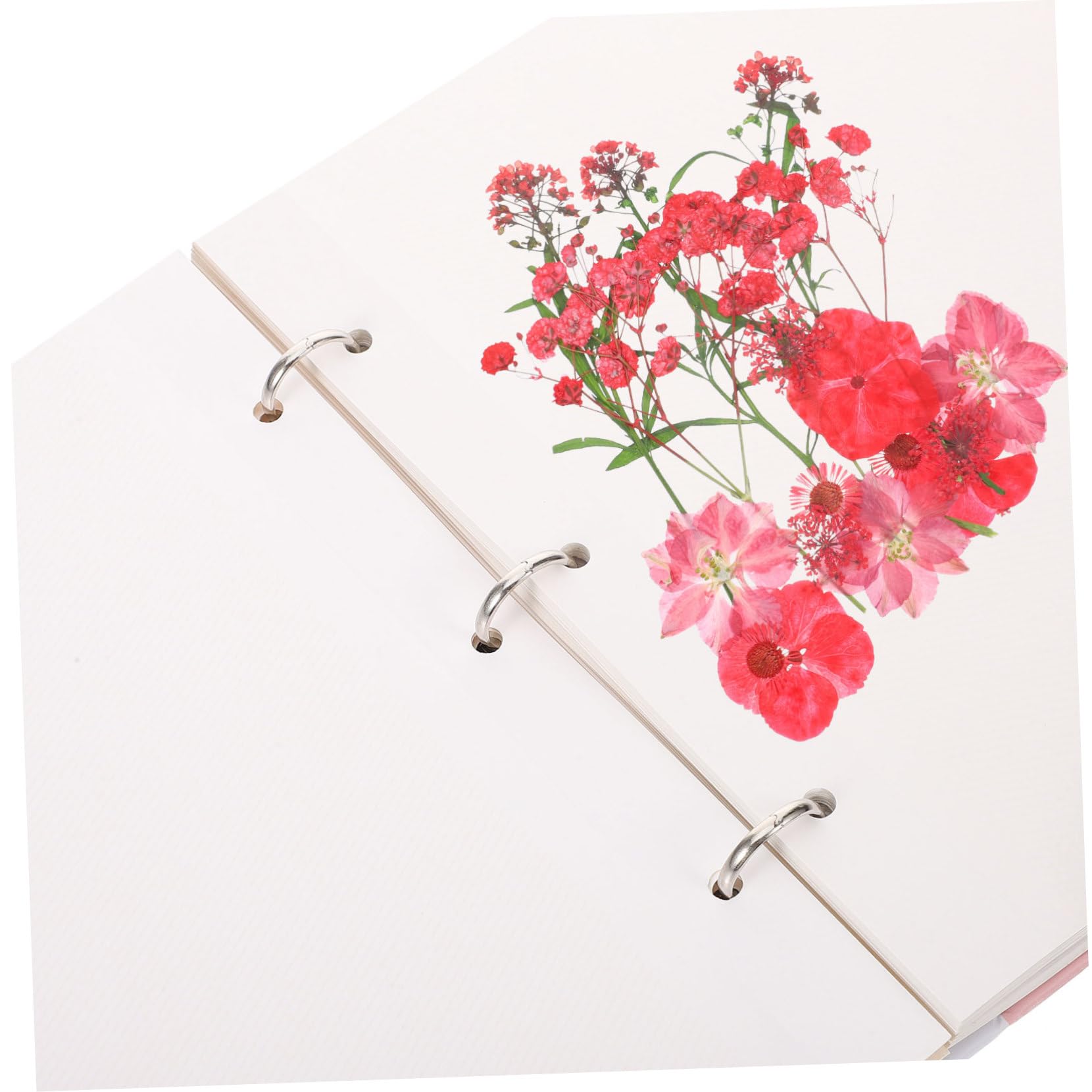 SHINEOFI Blumenpressbuch Zum Aufbewahren Von Losen Blättern Getrockneten Blumen DIY-musterbuch Robustes Papiermaterial Praktischer