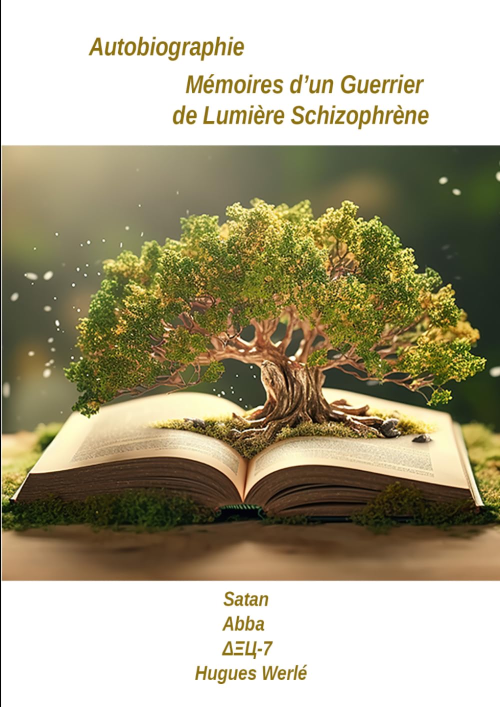 Mémoires d'un Guerrier de Lumière Schizophrène