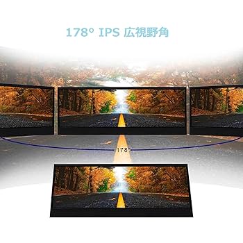 ソルティー　28日発送分　特大サイズ、大サイズ　それぞれ一対2個　門松 大きいサイズインソール(3L・29cm～） | ソルボ≪公式