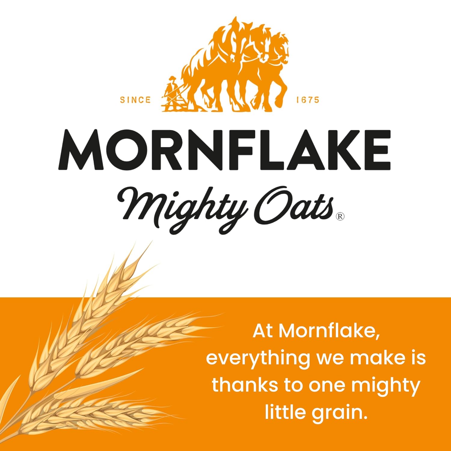 Mornflake Jumbo Oats 4x 3kg 100% Wholegrain Rolled Oats All Natural Ingredients, High In Fibre. Perfect For Breakfast Porridge Oats, Overnight Oats & Flapjacks. Suitable For Vegan Diet
