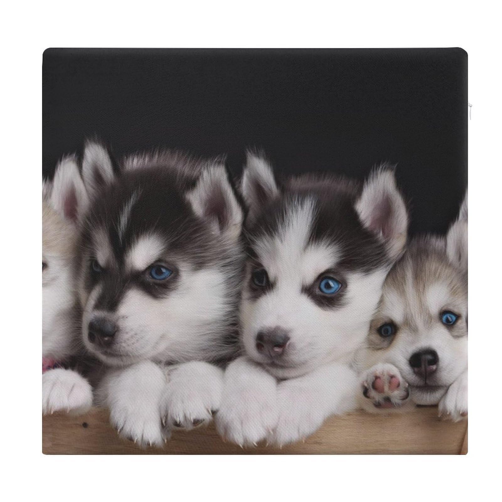 Coussin Husky en mousse à mémoire de forme 38x35cm avec housse lavable