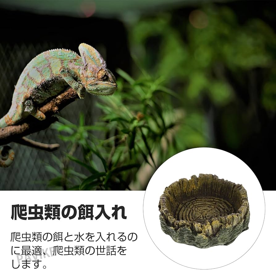 爬虫類用　ケージ、シェルター、ピンセット、餌皿6点セット Amazon | スドー レオパ 飼育 セット キット 爬虫類 ヤモリ