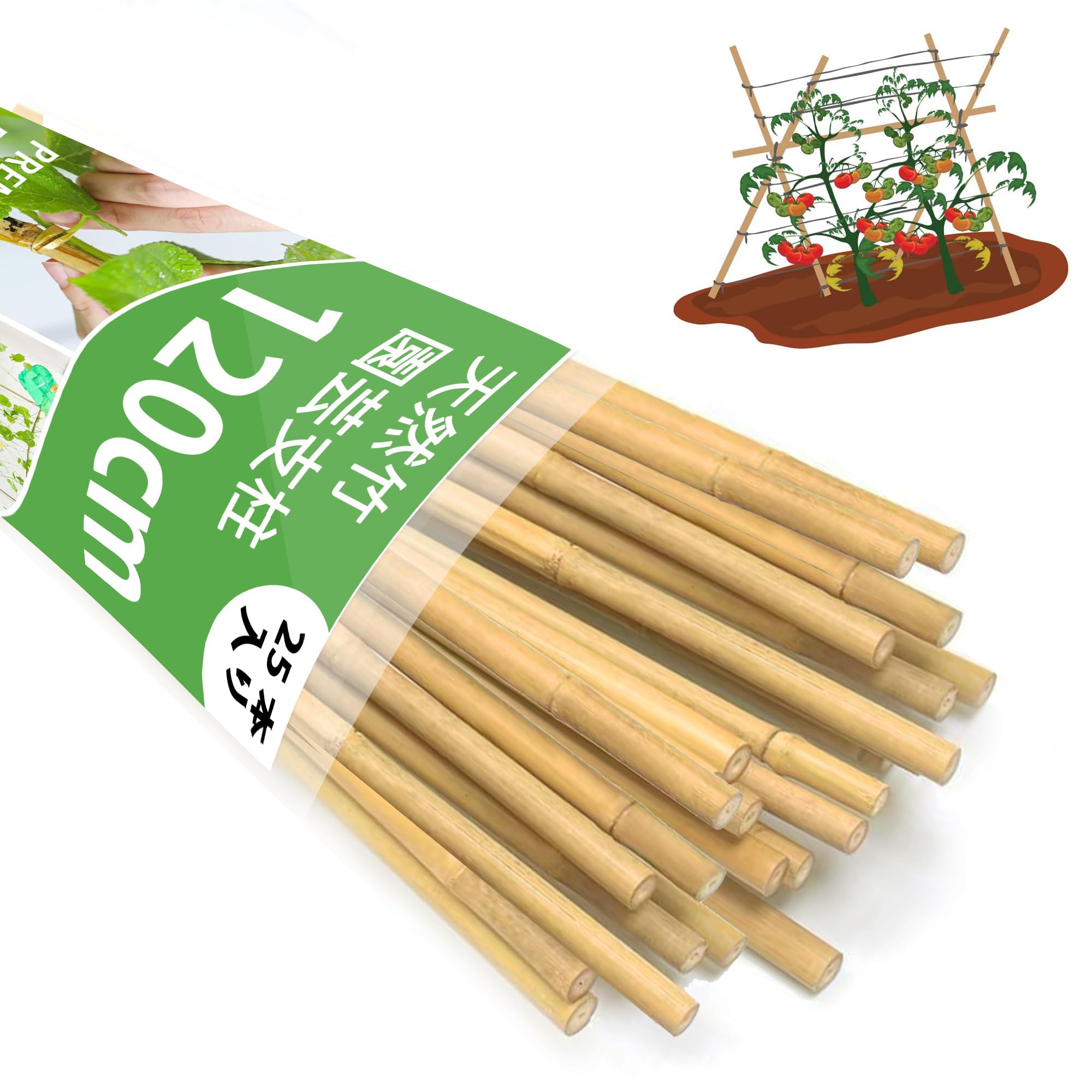 Amazon | 園芸 支柱120cm、天然竹 支柱 25本入り、篠竹 しの竹 家庭