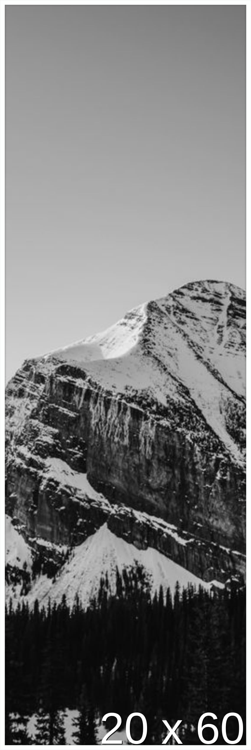 Frame It Easy 20 x 60 black Metal Frame (Ashford)