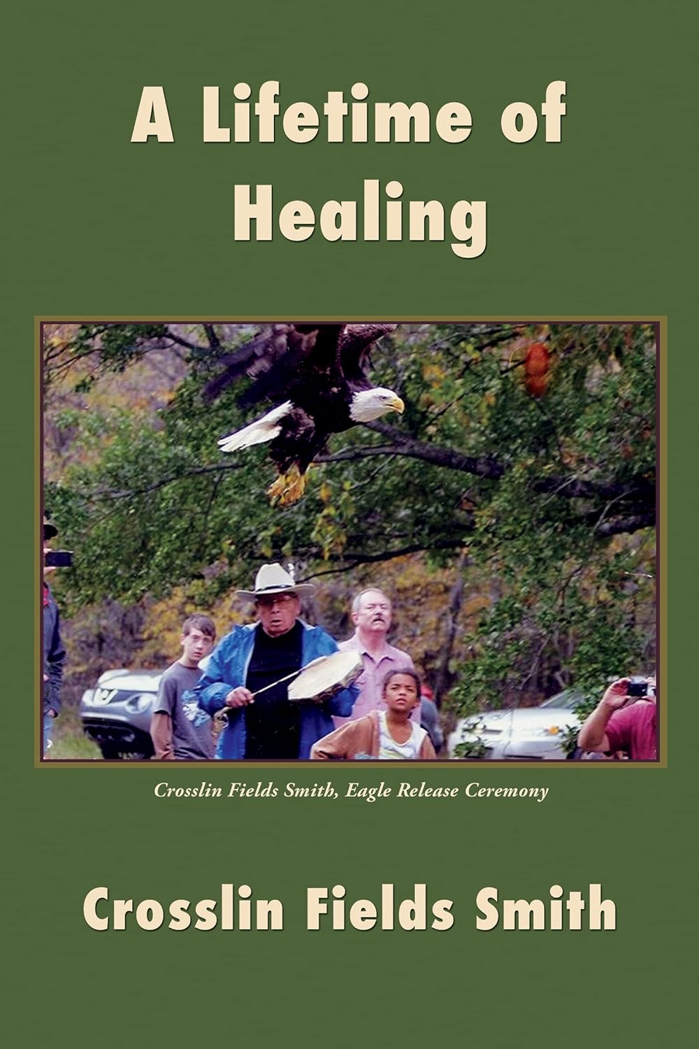 A Lifetime of Healing      Kindle Edition