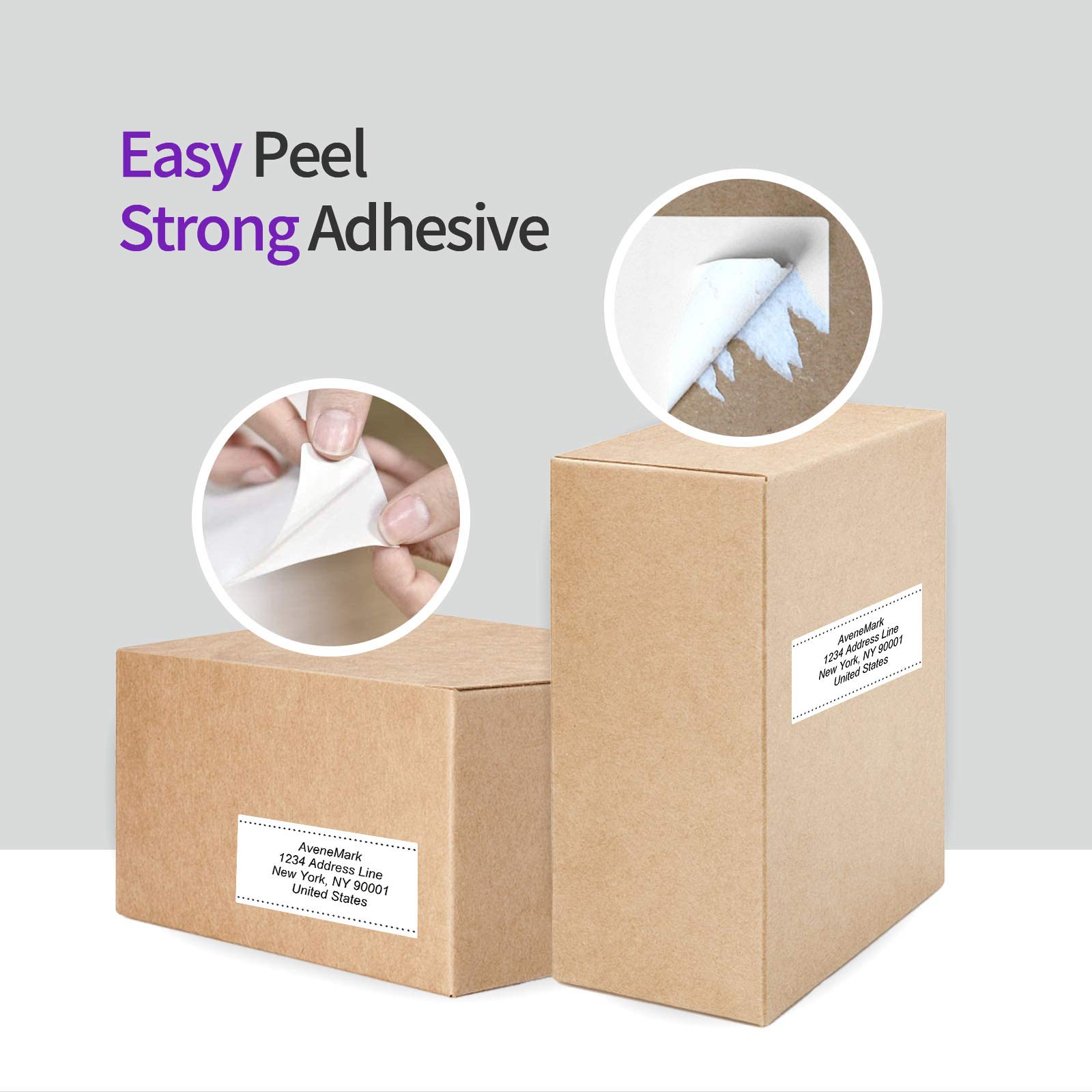 AveneMark 12 Rolls Compatible DYMO 30256 (2-5/16" x 4") Direct Thermal Labels Perforated Shipping Labels Compatible with Rollo, DYMO 4XL & Zebra Desktop Printers - 3600 Labels