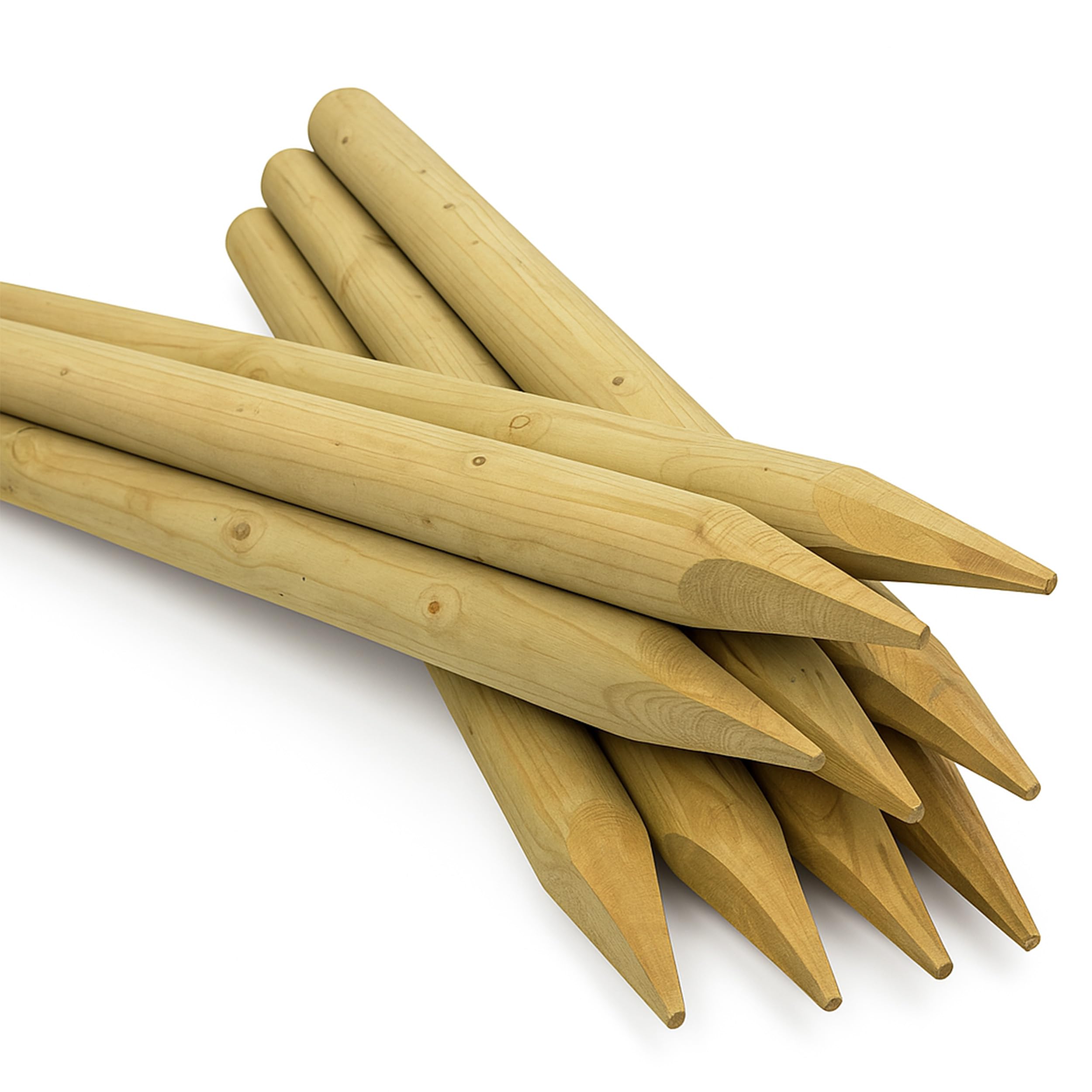 1.2 M Long Wooden Garden Stake for Plant & Tree Support (Pack of 1) Pressure Treated Timber, 5 cm Thickness by Circle of Trust