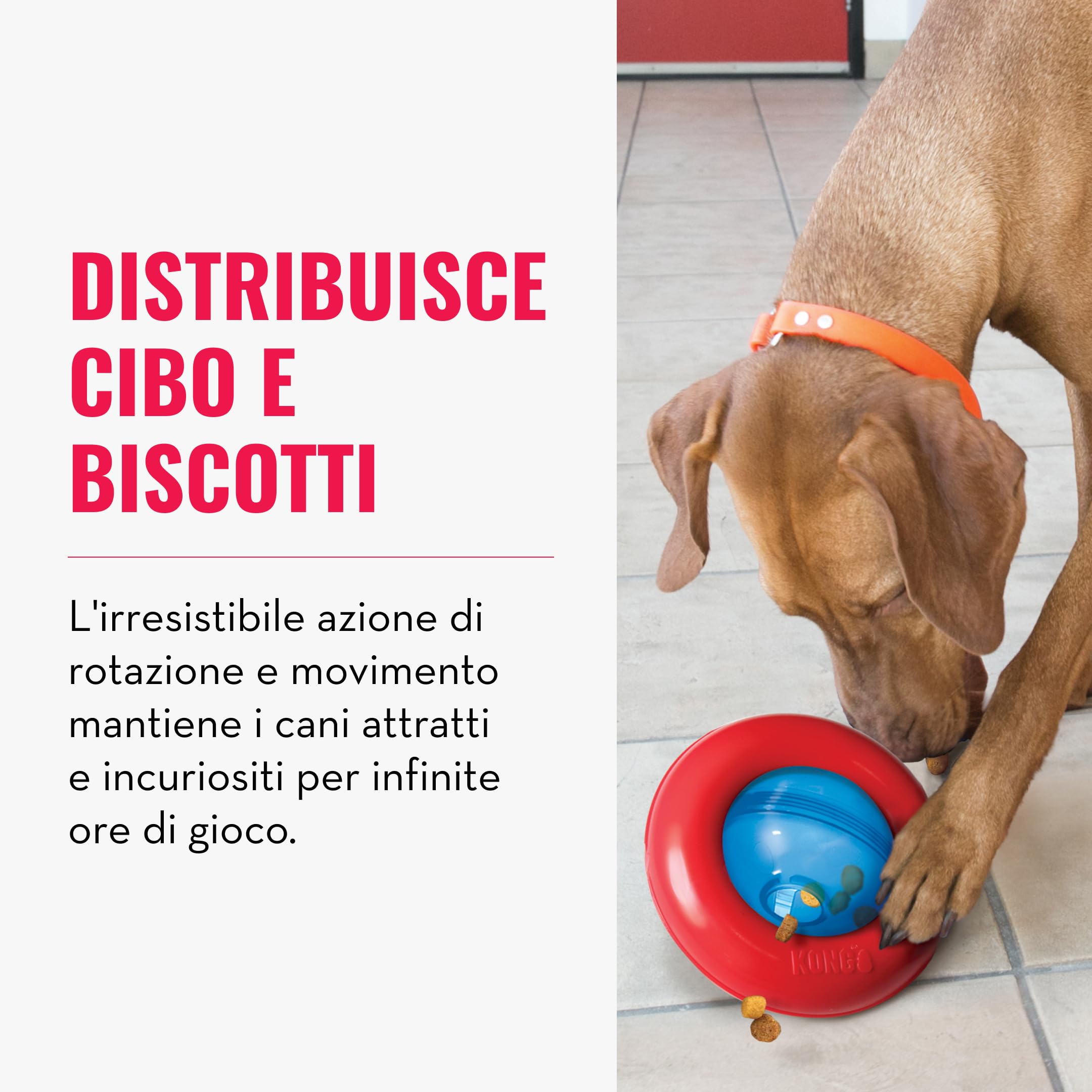 Kong - Gyro - Giocattolo interattivo per Cani di Taglia Grande