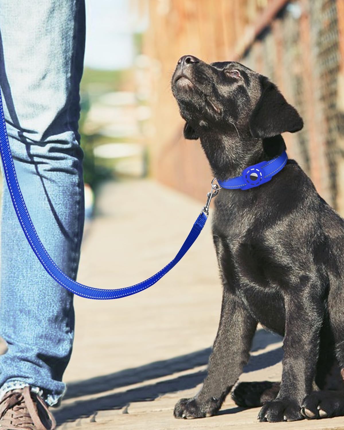 Correa de perro de 4 pies para perros pequeños y medianos | Nylon reflectante de una cara | Mango acolchado | 3/4 pulgadas de ancho | Azul real