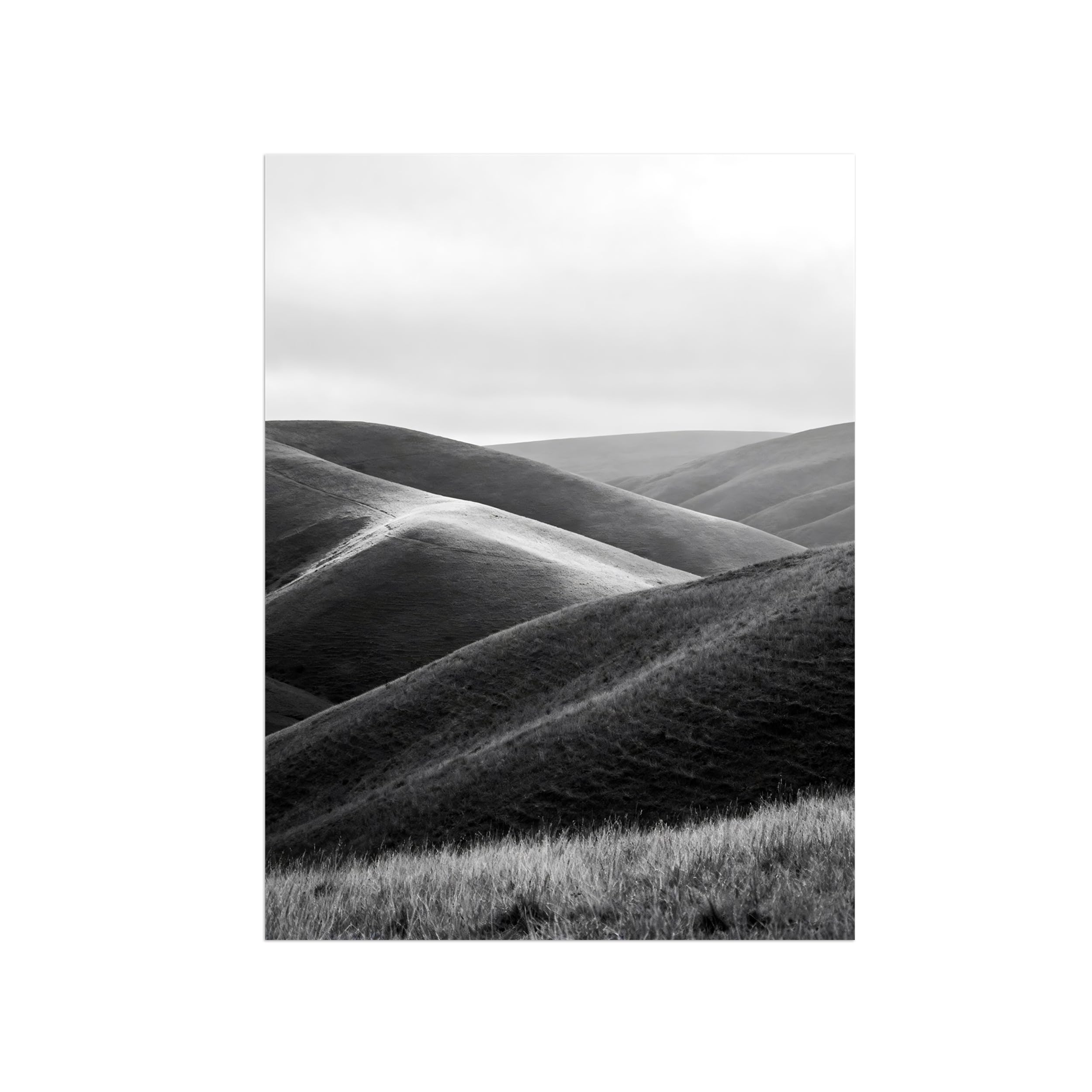 OZPWBVY Grassland Black White Landscape Wall Art Prints 90x117cm Unframed