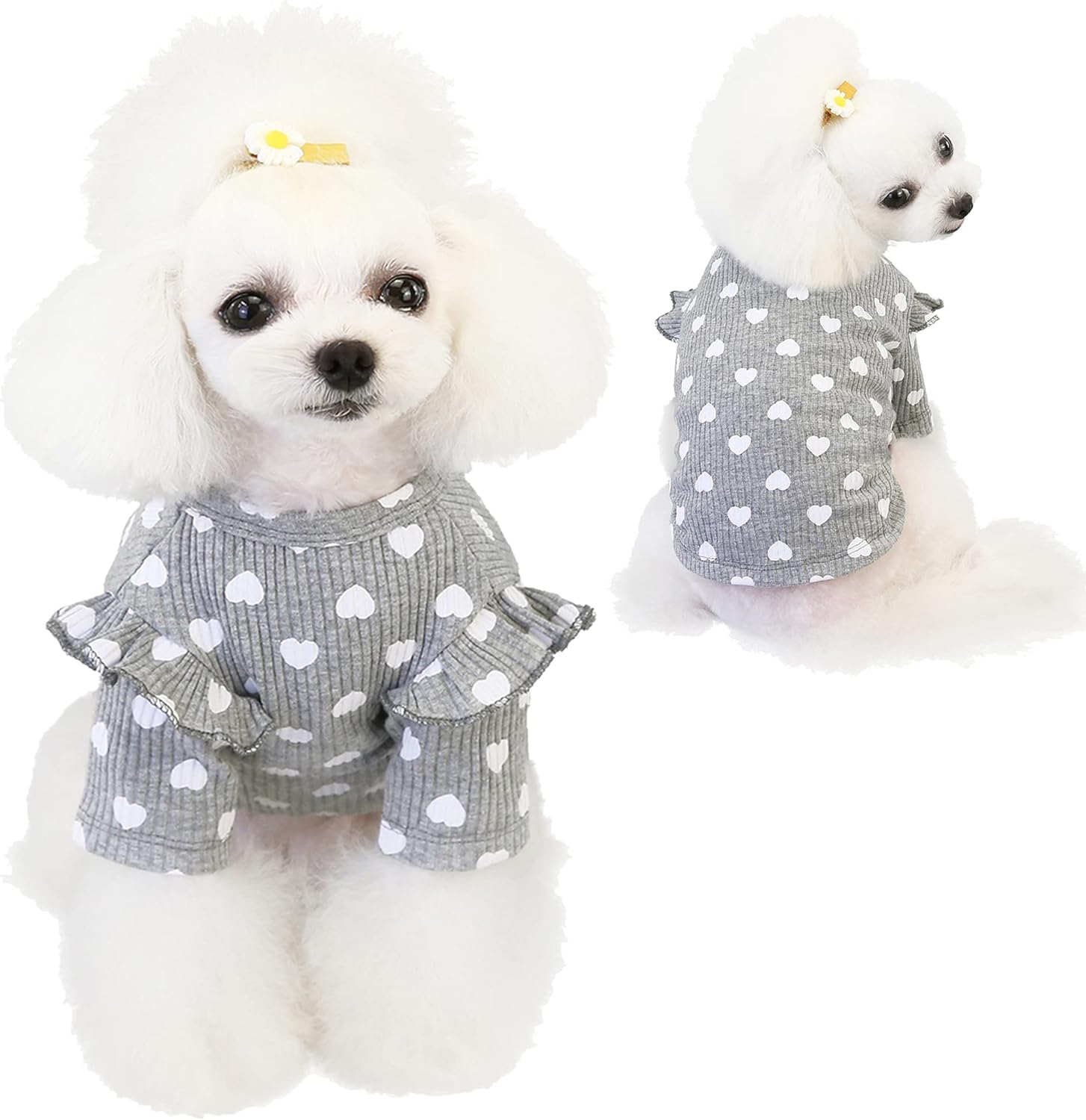 Dog shirt with sleeves Clearance