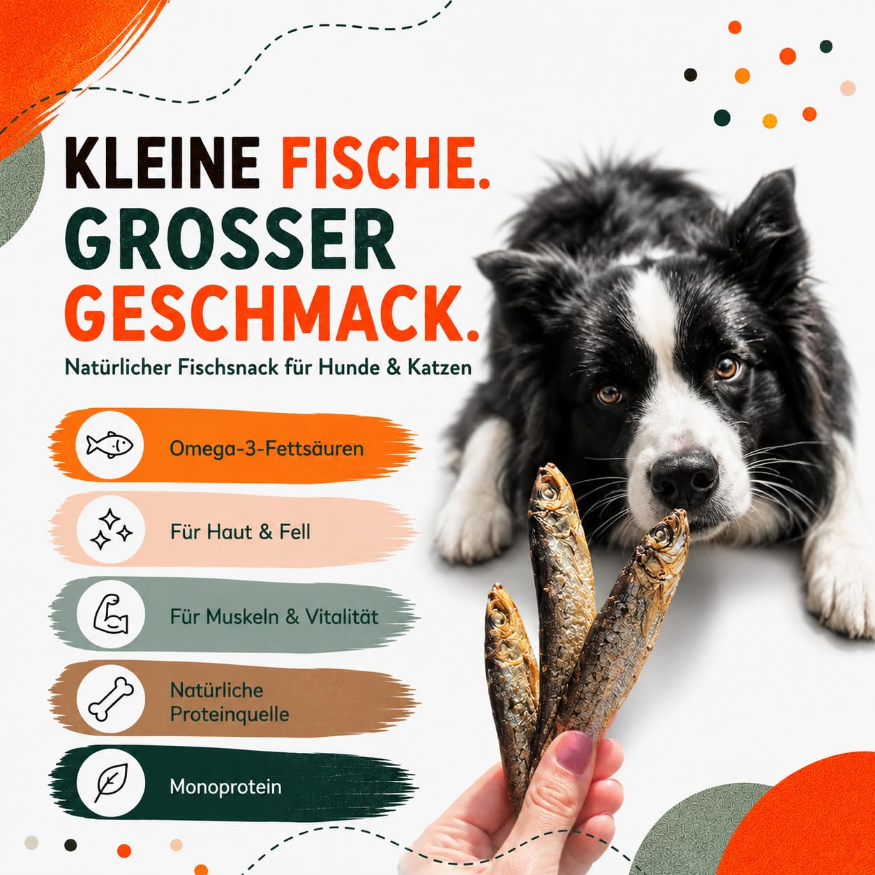 Getrocknete Sprotten für Hunde & Katzen, 100% Fisch, natürlicher Fischsnack & Kausnack, reich an Omega-3 Fettsäuren, Monoprotein, ohne Zusatzstoffe, getreidefrei, Hundesnack & Katzensnack (1kg)