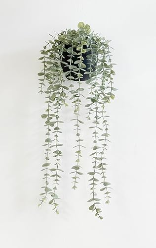 Mr. Bom Plantas colgantes falsas para interiores y exteriores, con maceta para decoración de pared, escritorio, estante (Eucalyptus)