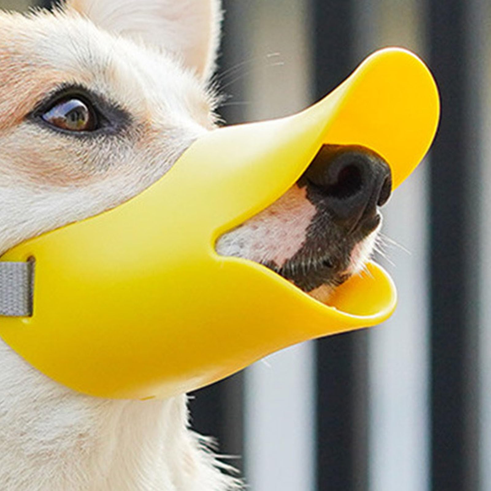 Duck Mouth Shape Dog Mouth Covers, Multipurpose Comfortable Prevent Barking Pet Duckbill Mouth Cover for Small Dog