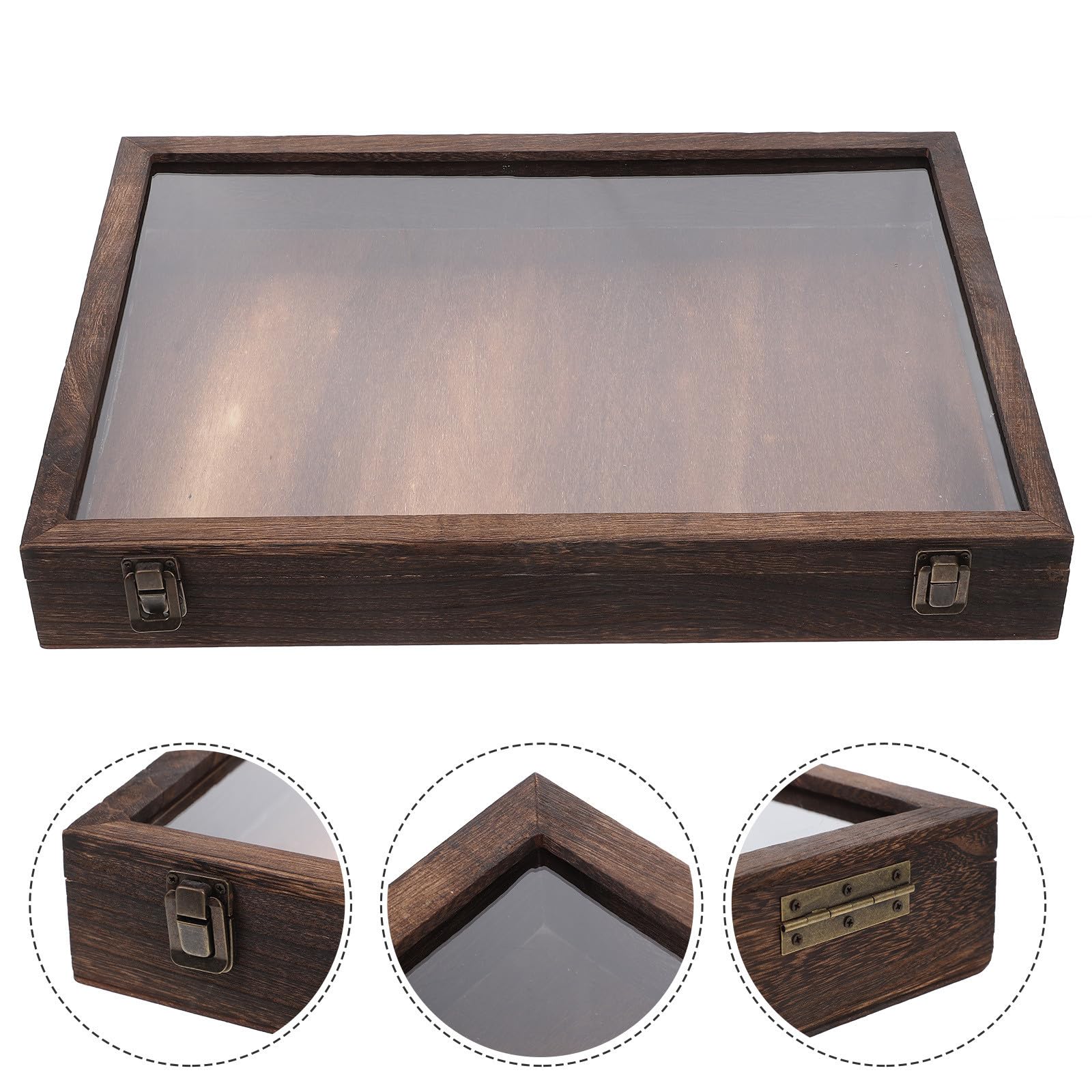 EXCEART Caja de muestras de insectos Contenedor de especímenes naturales exhibición de flores secas vitrina de mariposas estuche de almacenamiento para plantas