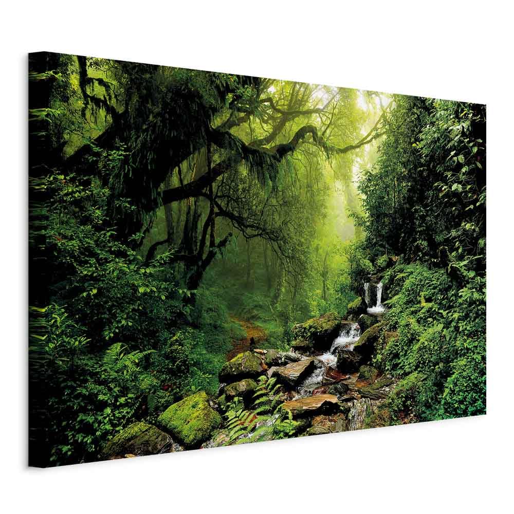 B&D XXL - Leinwandbild Wald Bach 120x80, 120x80 cm, 1-teilig, Schlafzimmer