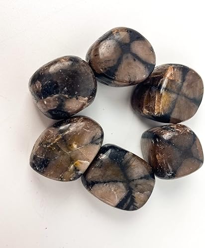 1 pieza de piedras preciosas de Chiastolite para hacer joyas sueltas, espécimen pulido para decoración del hogar, bricolaje, reiki, cristales